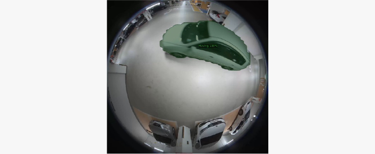 ¼Ö·ç¼Ç À̹ÌÁö